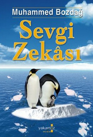 Sevgi Zekasi